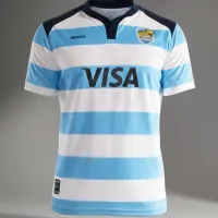 ARGENTINA CELESTE Y BLANCO #950 2